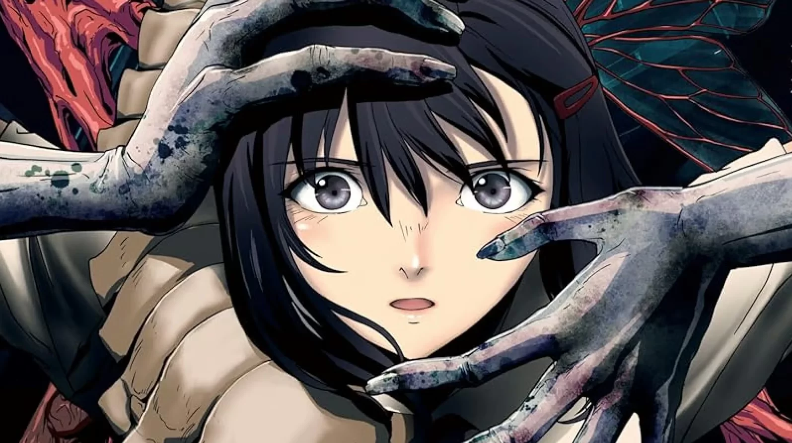 the calabi yau gap anime